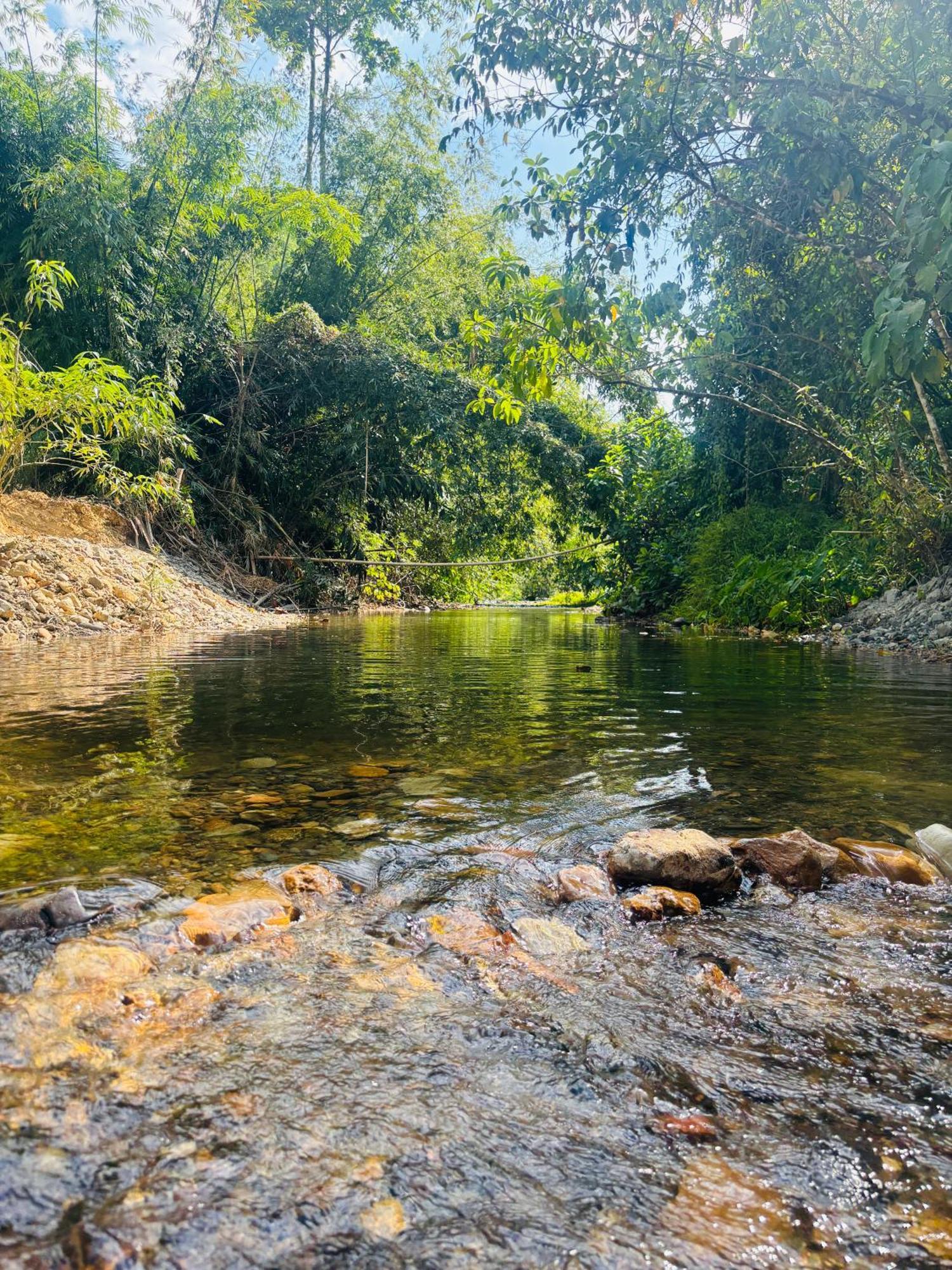 Camping Phutajoy Khaosok แคมป์ปิ้งภูตาจ้อยเขาศก Ban Thung Lang Tham Dış mekan fotoğraf